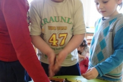 Co Krokodylki z PM 8 wiedzą o glebie