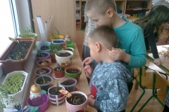 Dzieci z grupy VI Kangurki , aktywnie działają w klubie ekologa