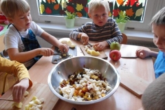 Dzien Sliwki