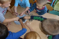 Krokodylki badają  i doświadczają.