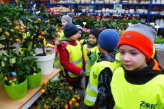 Krokodylki w Centrum Ogrodniczym ,,Żulicki\"