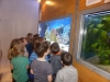 oceanarium3