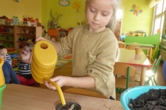 Krokodylki zakładają zielony kącik w sali.