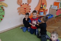 SADZIMY FASOLE GR II BIEDRONKI