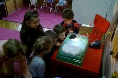 Tygryski szukają odpowiedzi na pytanie Skąd się bierze deszcz?