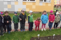 W ogródeczku u Biedronek