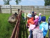 20130603_114750-kopiowanie