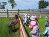 20130603_114758-kopiowanie