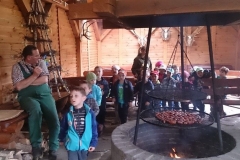 ZAPACHY LASU - BIEDRONECZKI GR. II