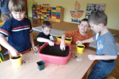 Zioła, ziółka, ziółeczka