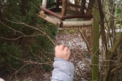 ptaki-1_Easy-Resize.com_