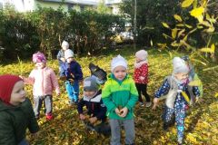 IMG_20191025_102837