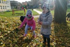 IMG_20191025_102951
