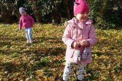 IMG_20191025_103037